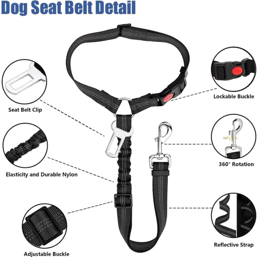 2-1 Dog Belt/Leash
