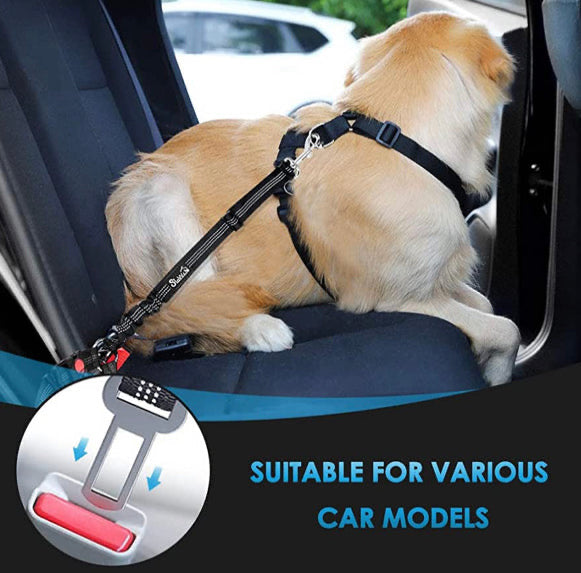 2-1 Dog Belt/Leash