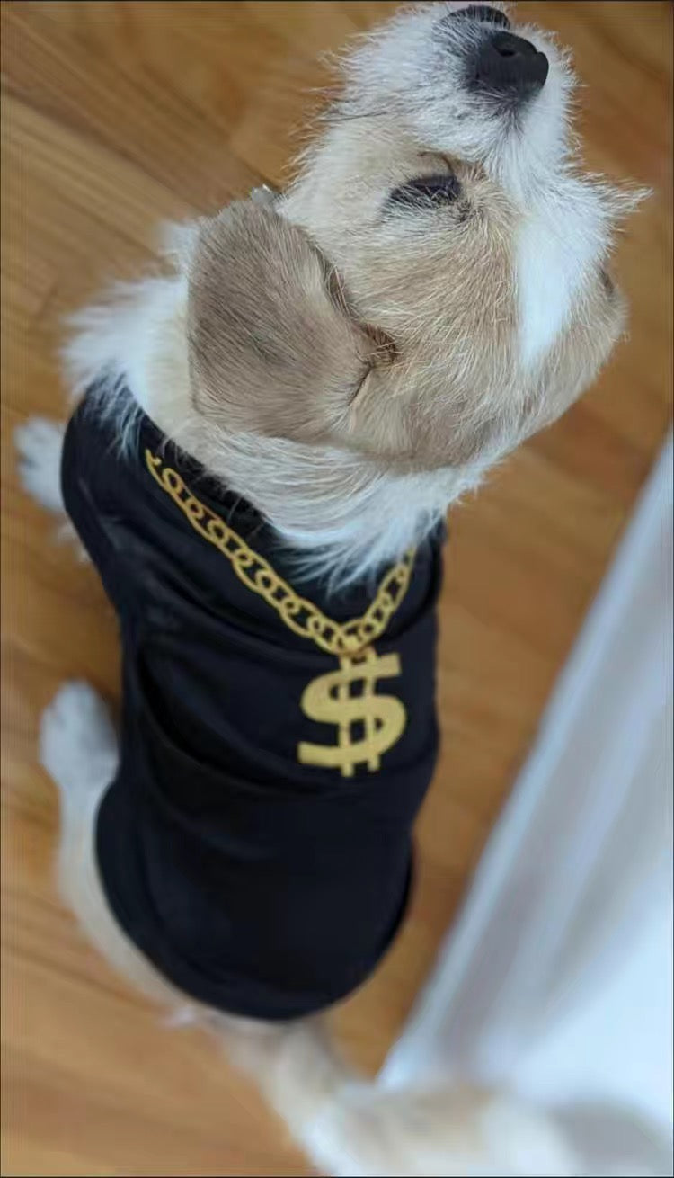 Cool T-Shirt