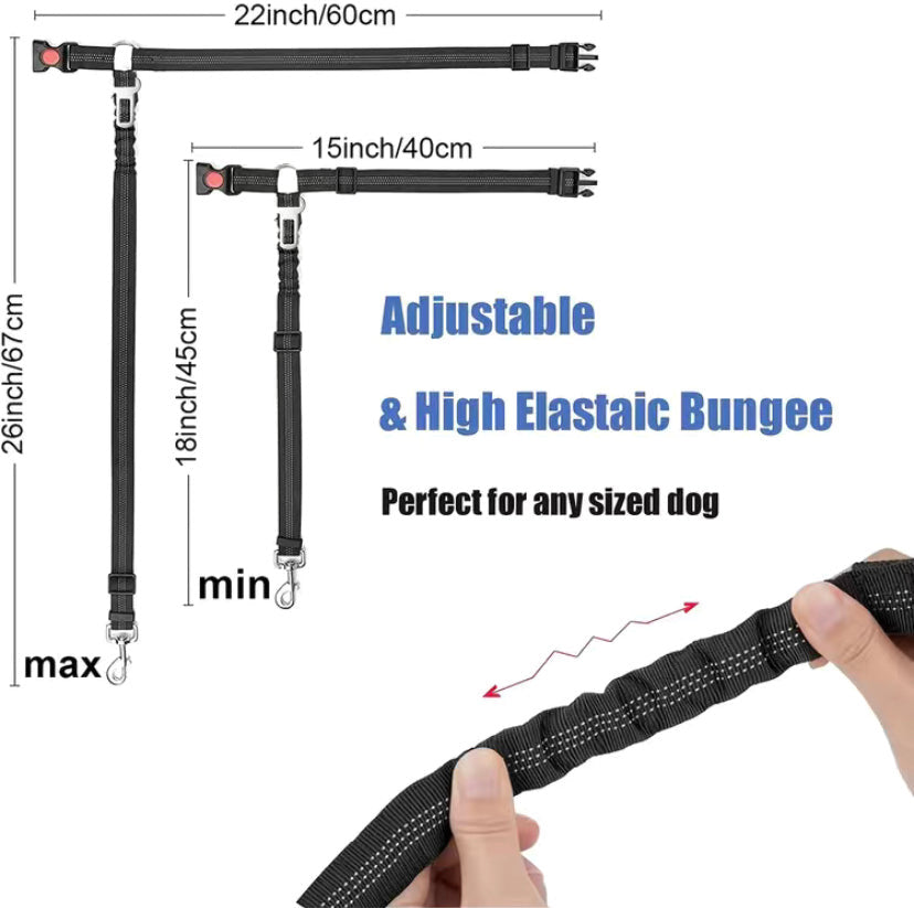 2-1 Dog Belt/Leash