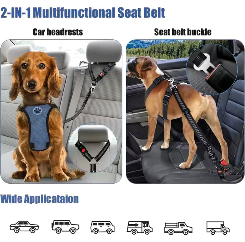 2-1 Dog Belt/Leash
