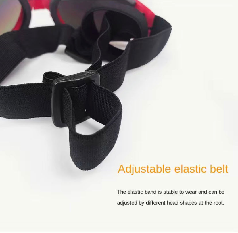Dog UV Sunglasses