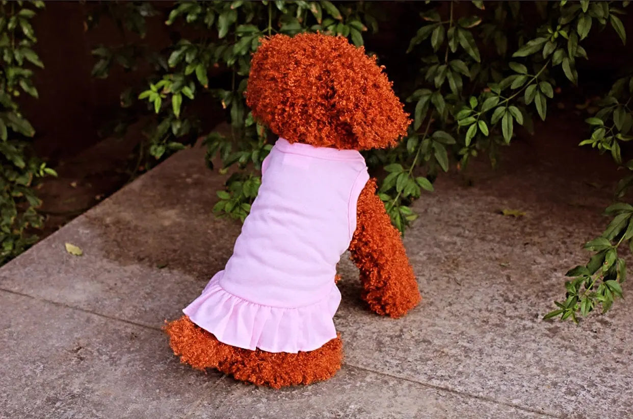 Fashionista Dress