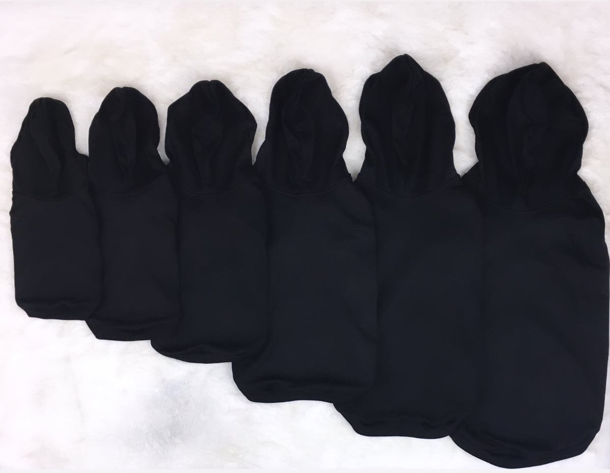 Dog Champ Hoodie