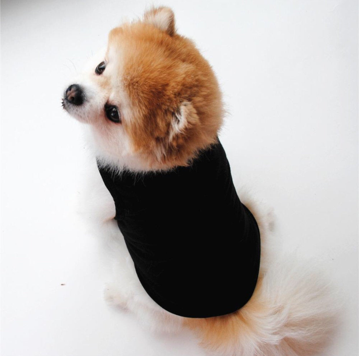 Fashion T-Shirt