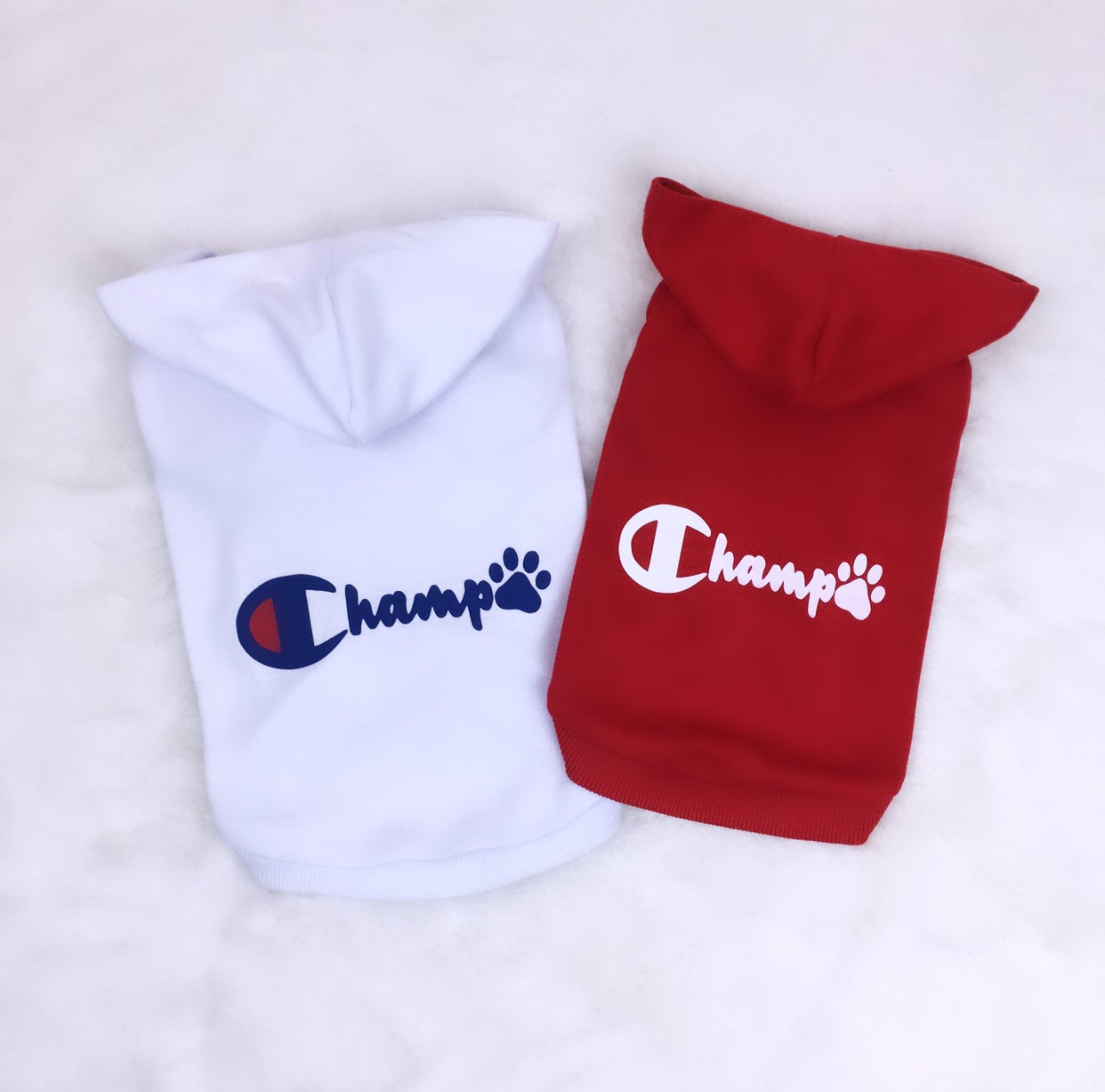 Dog Champ Hoodie