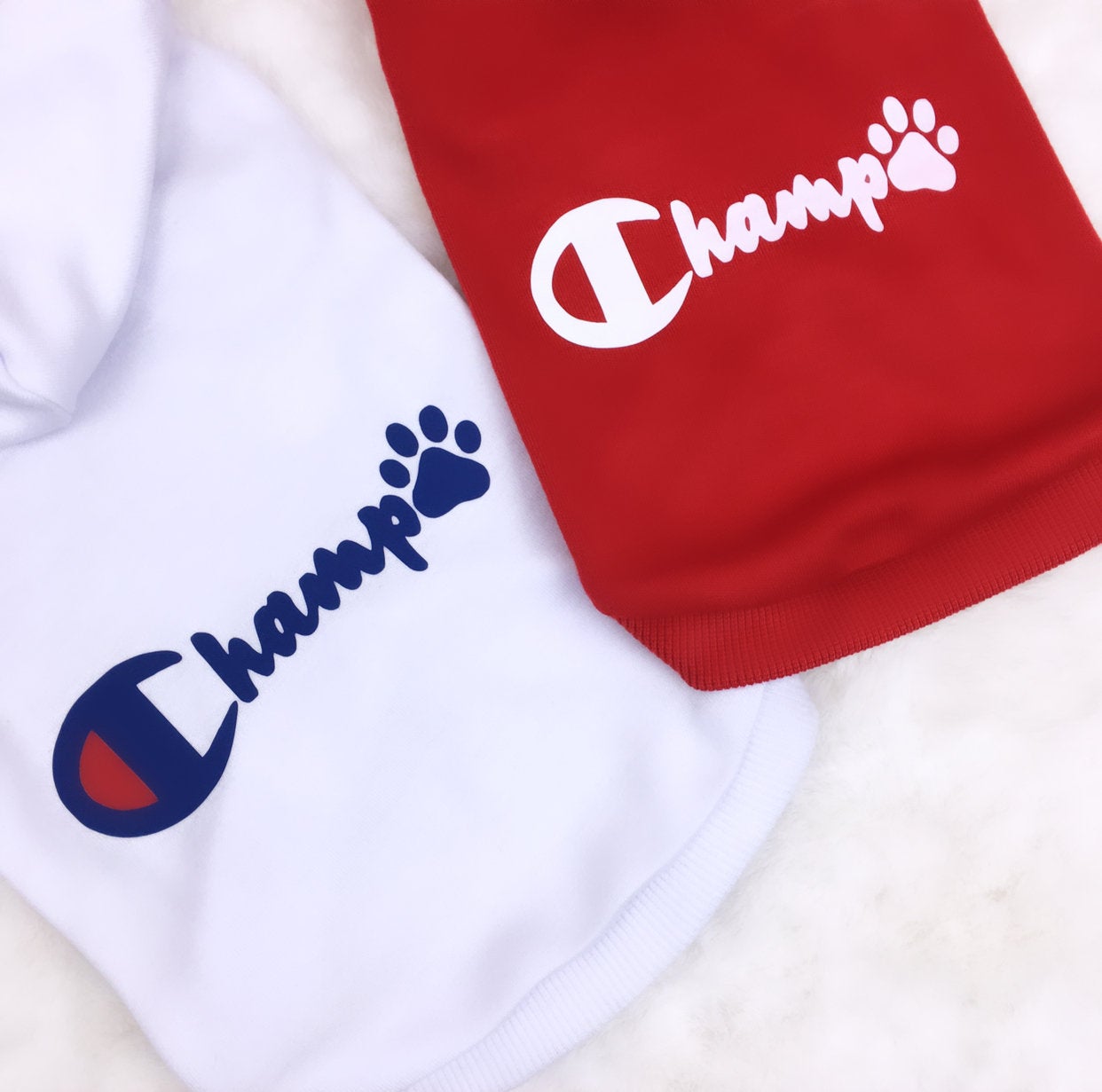 Dog Champ Hoodie