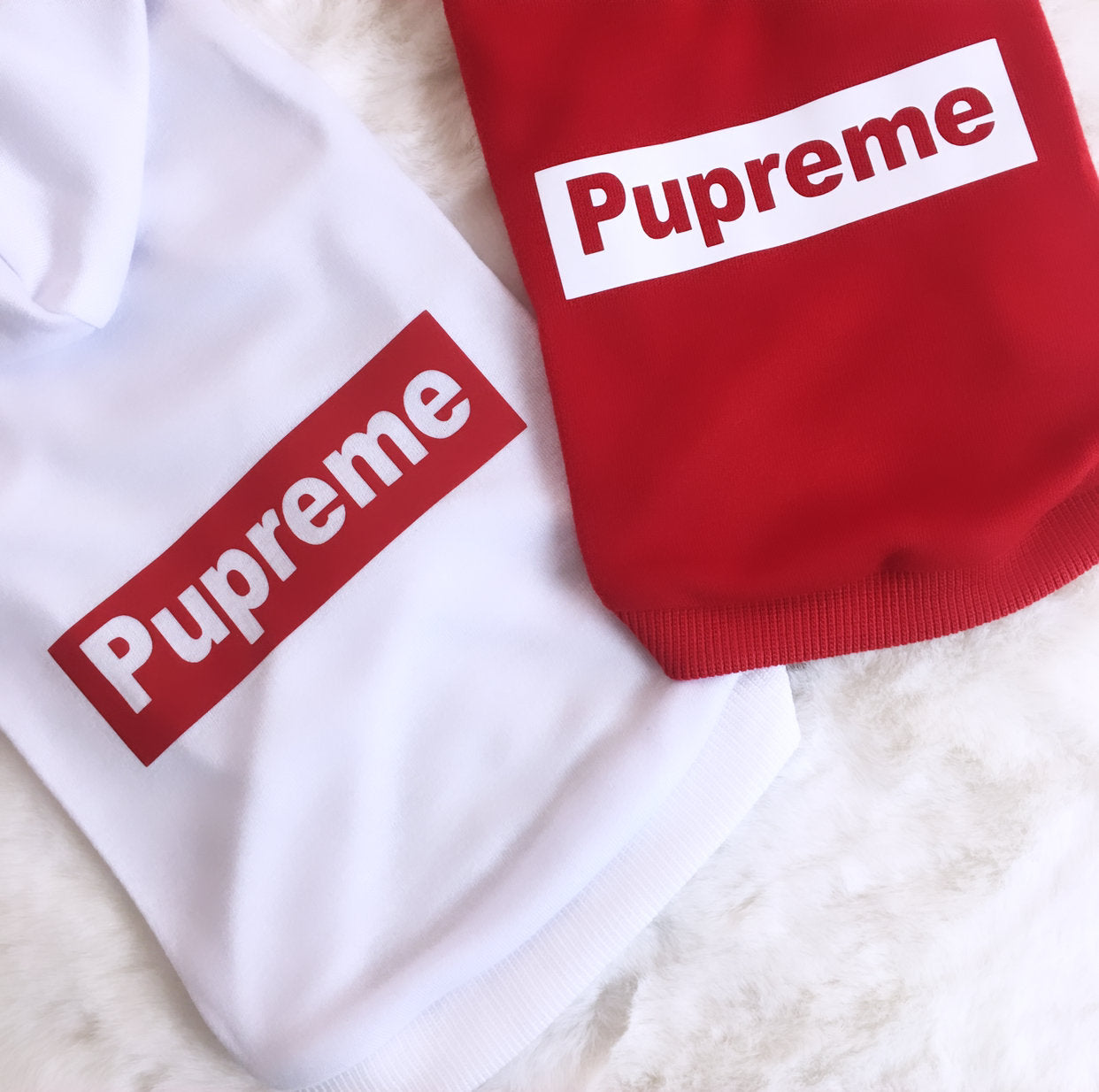 Dog Pup Hoodie