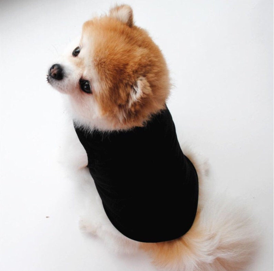 Dog Pawda T-Shirt 