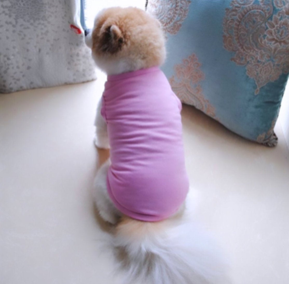 Dog Pawda T-Shirt 